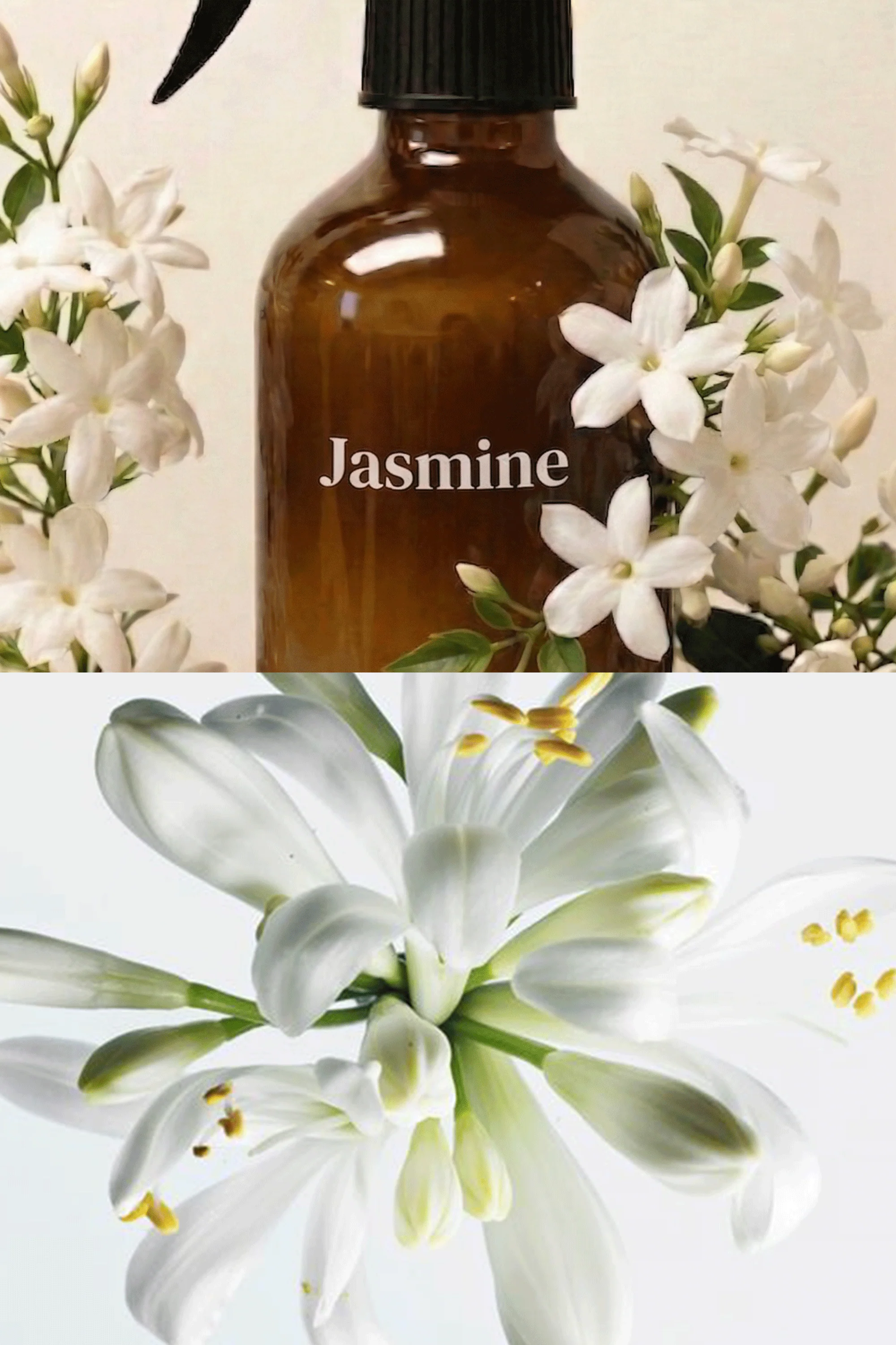 Jasmine Room & Linen Spray - Image 4